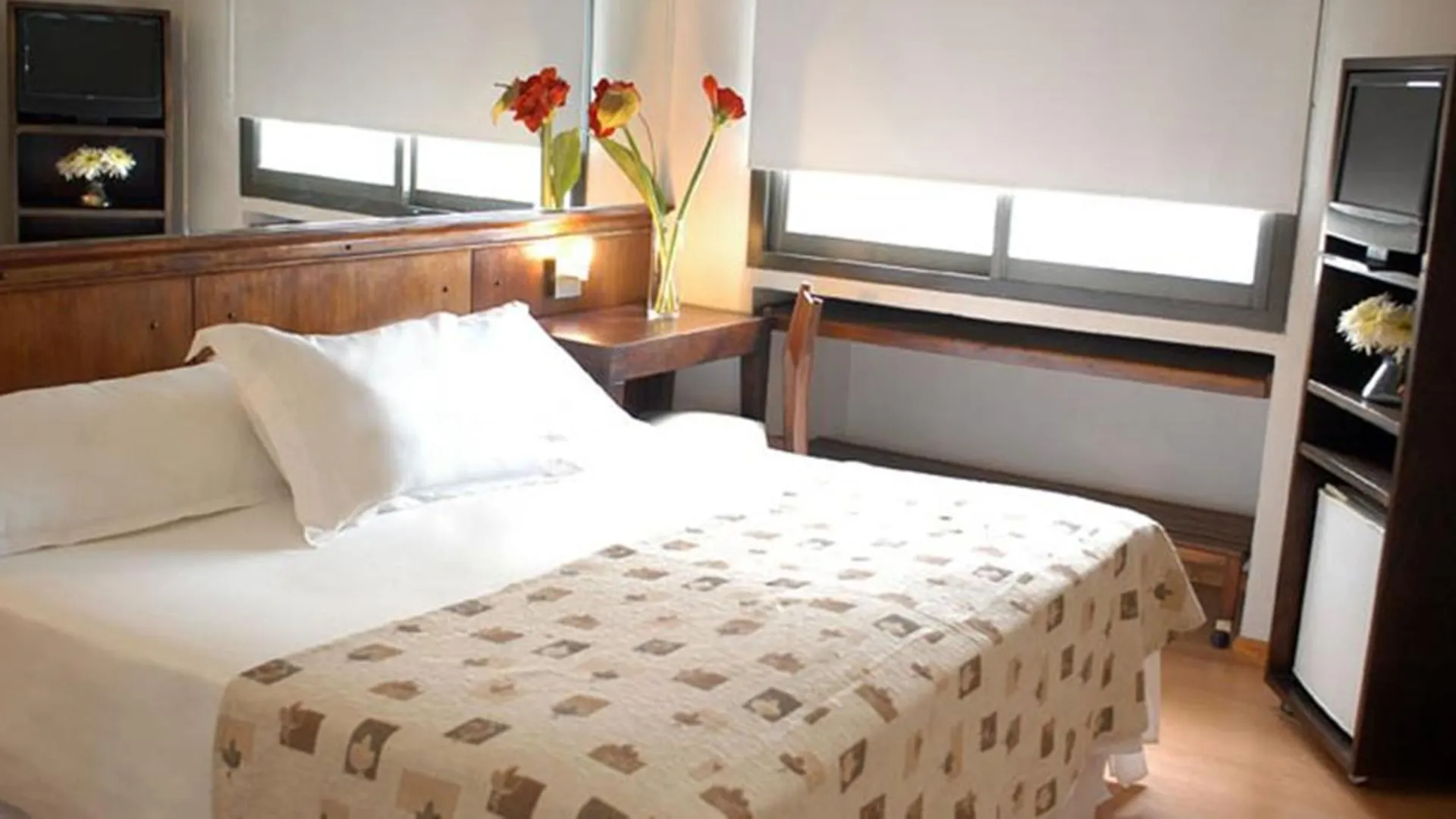 Hotel Internacional Mendoza Argentina