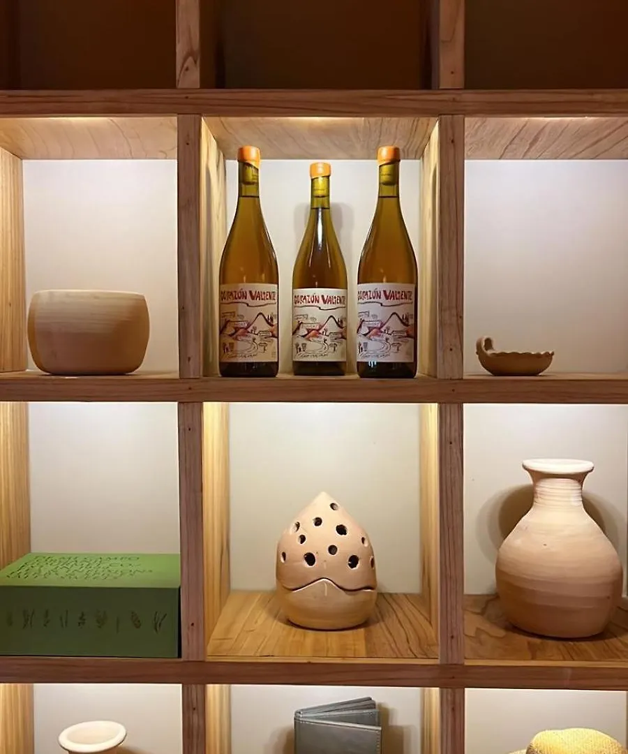 国际酒店 门多萨 酒店