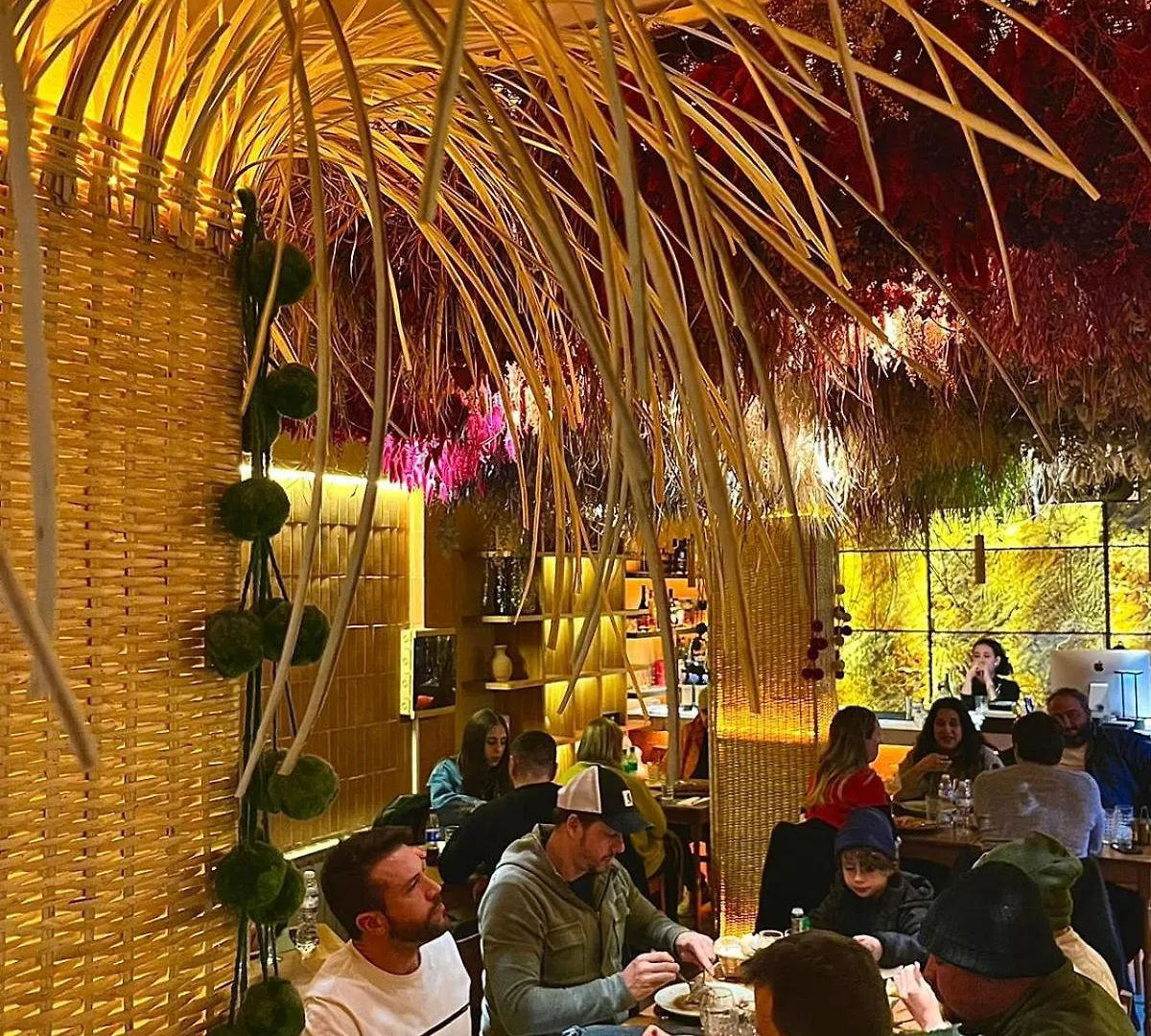 酒店 国际酒店 门多萨
